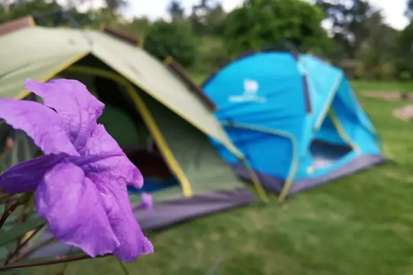 Camping vs. Camping Ecológico: Entenda as diferenças e escolha o seu estilo de viagem