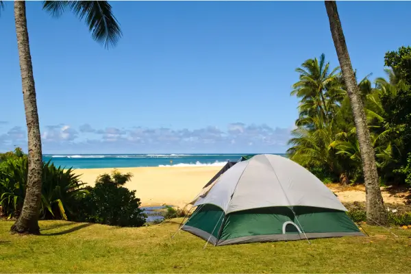 Descubra os melhores roteiros de camping ecológico em Ubatuba