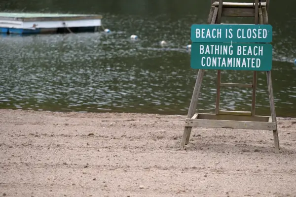 Praias poluídas em São Paulo: Locais, riscos e alternativas para o verão 2025