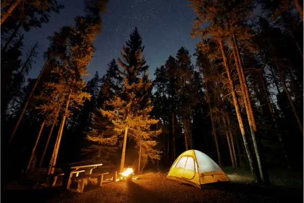 Roteiros de camping ecológico Noturnos: Experiências inesquecíveis sob as estrelas