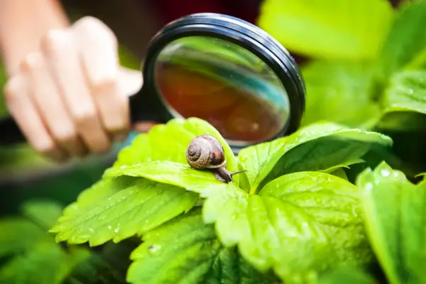 O papel do camping na educação ambiental: Como ensinar respeito à natureza