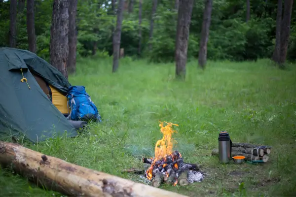 Camping selvagem na Mata Atlântica para iniciantes
